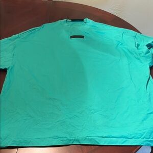 Essential Mens Large T-Shirt